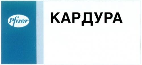 PFIZER КАРДУРА - товарный знак РФ 262119