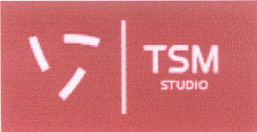 TSM STUDIO - товарный знак РФ 318130