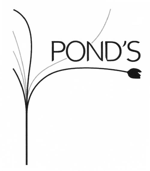 POND PONDS PONDSPOND'S - товарный знак РФ 427995