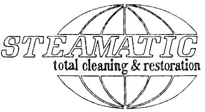 STEAMATIC STEAMATIC TOTAL CLEANING & RESTORATIONRESTORATION - товарный знак РФ 454652