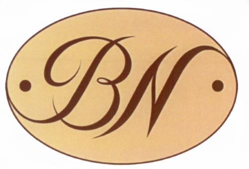 BNBN - товарный знак РФ 472624