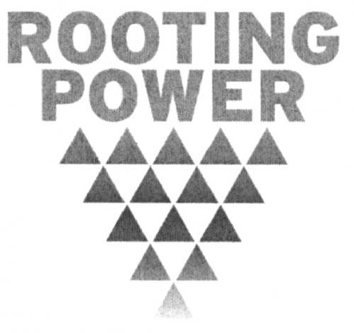 ROOTING ROOTING POWERPOWER - товарный знак РФ 485666