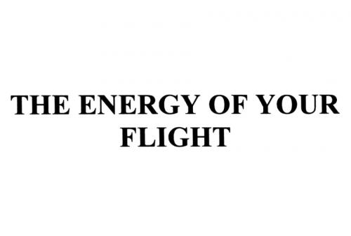 THE ENERGY OF YOUR FLIGHTFLIGHT - товарный знак РФ 489008