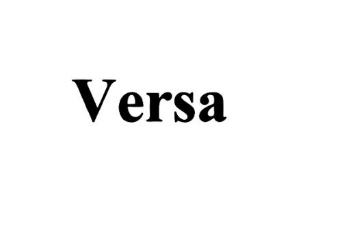 VERSAVERSA - товарный знак РФ 490196