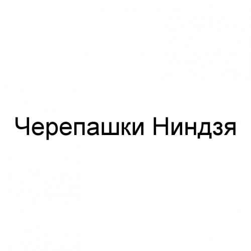 ЧЕРЕПАШКИ НИНДЗЯНИНДЗЯ - товарный знак РФ 491113