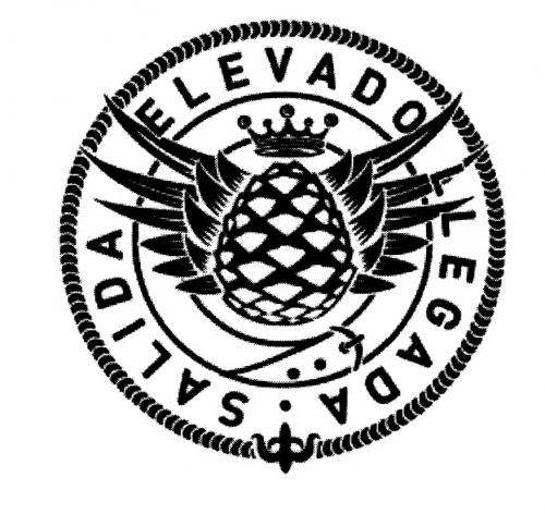 ELEVADO LLEGADA SALIDASALIDA - товарный знак РФ 496101