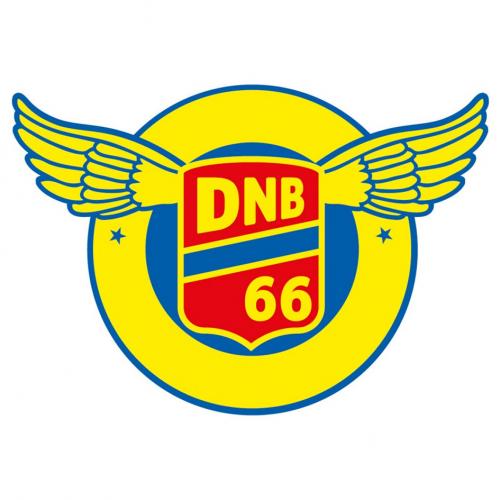 DNB 6666 - товарный знак РФ 496636