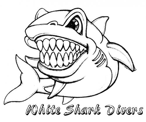 WHITESHARK DIVERS WHITE SHARK DIVERS - товарный знак РФ 497989