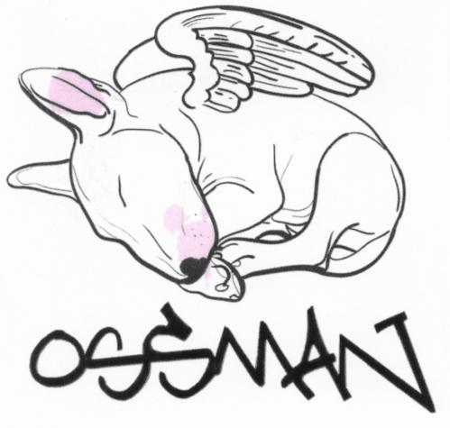 OSSMANOSSMAN - товарный знак РФ 498013