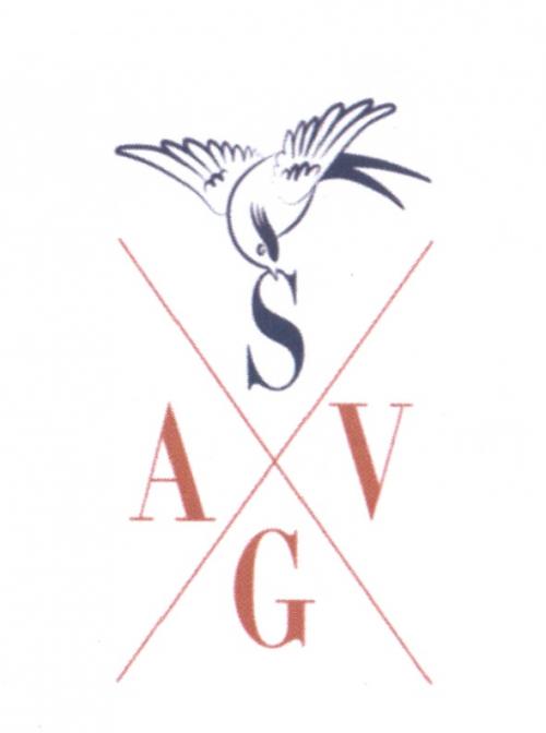 AGV AVG SAGVSAGV - товарный знак РФ 501268