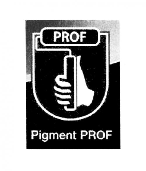 PROF PIGMENTPIGMENT - товарный знак РФ 502813