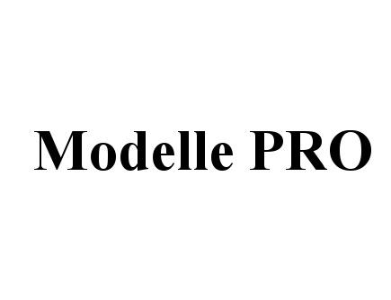 MODELLE MODELLE PROPRO - товарный знак РФ 508229