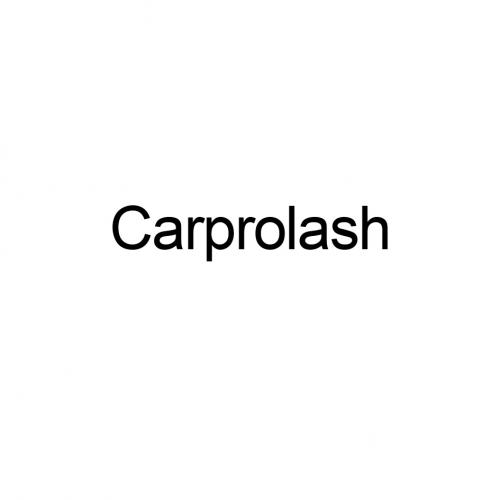 CARPROLASHCARPROLASH - товарный знак РФ 929385